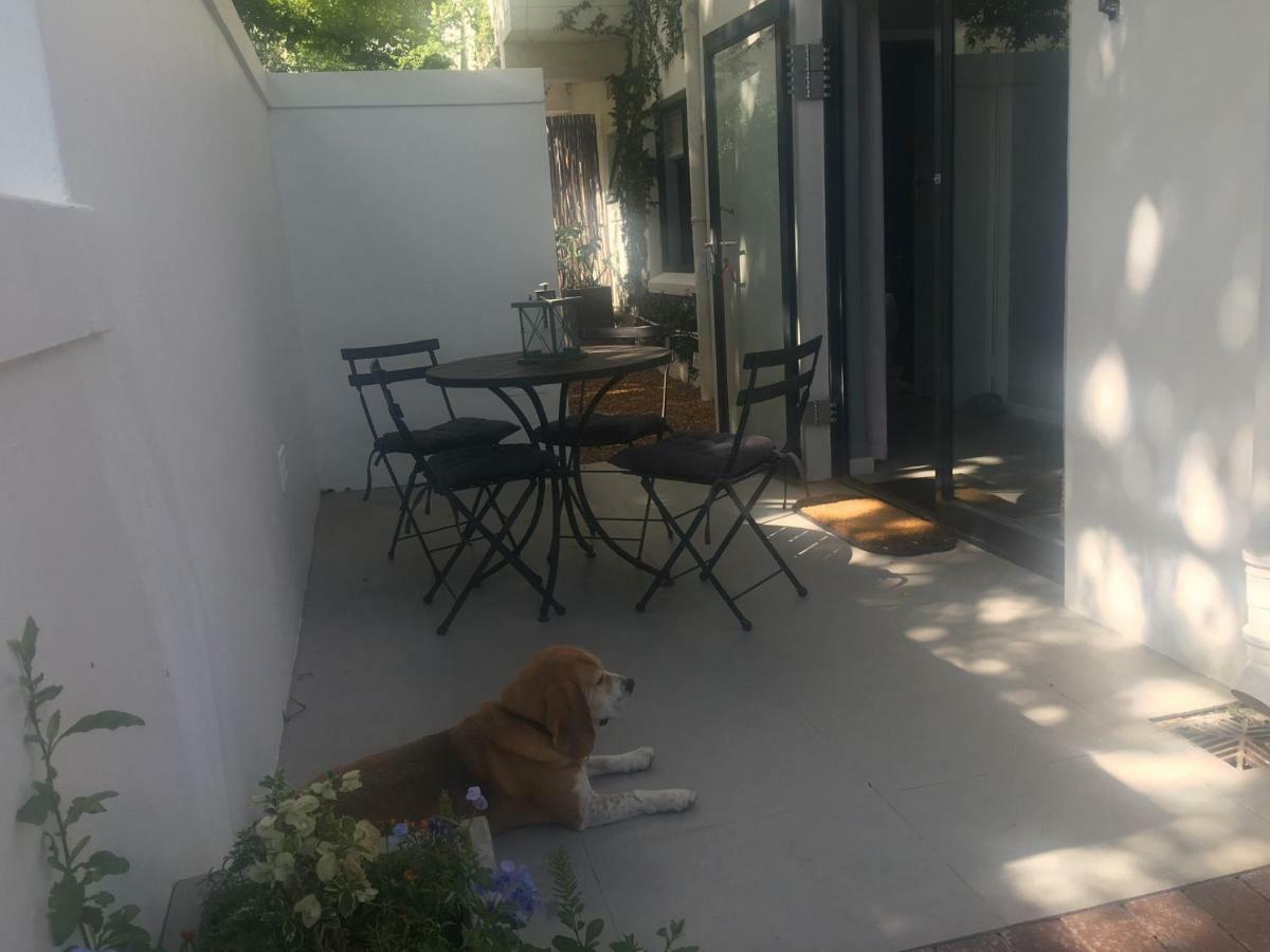 Table Mountain Guest Cottage With Private Garden Cape Town Exterior photo